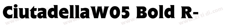 CiutadellaW05 Bold R字体转换